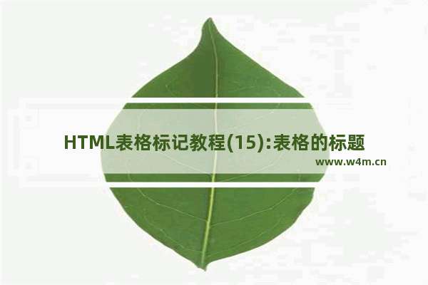 HTML表格标记教程(15):表格的标题