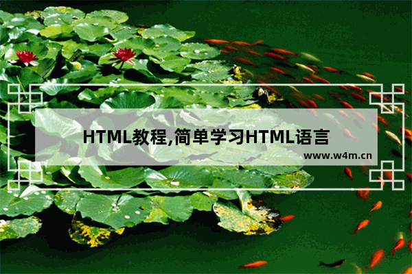 HTML教程,简单学习HTML语言