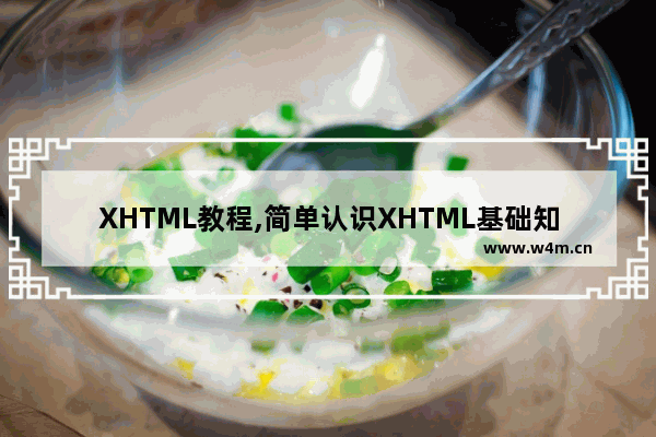 XHTML教程,简单认识XHTML基础知识