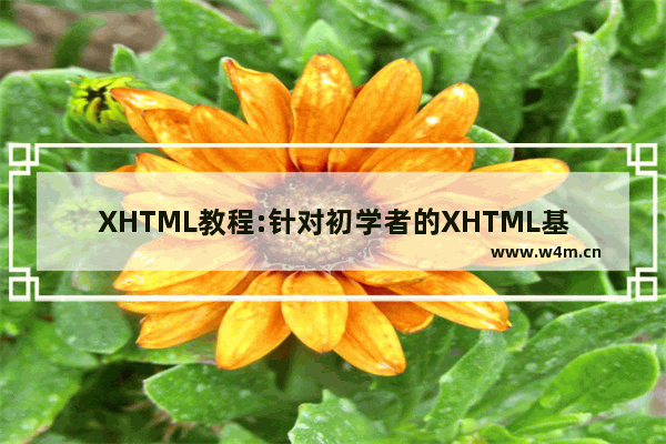 XHTML教程:针对初学者的XHTML基础