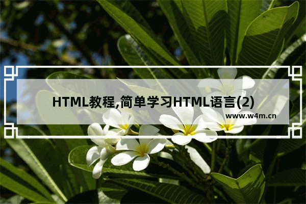 HTML教程,简单学习HTML语言(2)