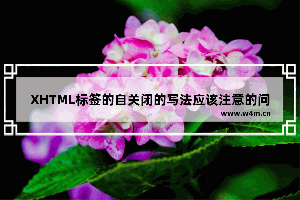 XHTML标签的自关闭的写法应该注意的问题