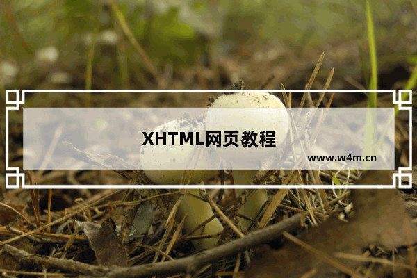 XHTML网页教程