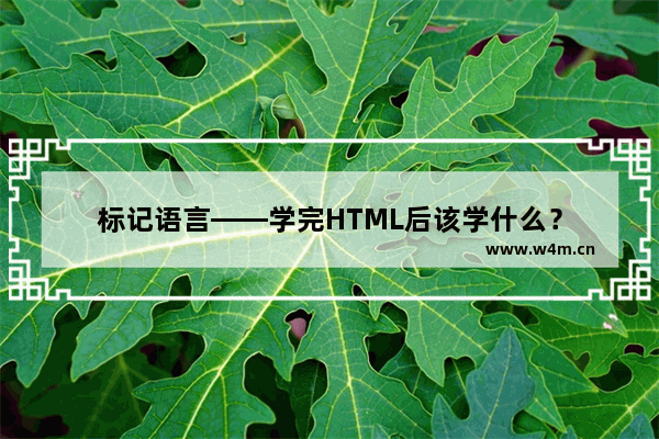 标记语言——学完HTML后该学什么？