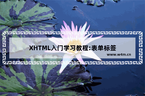 XHTML入门学习教程:表单标签