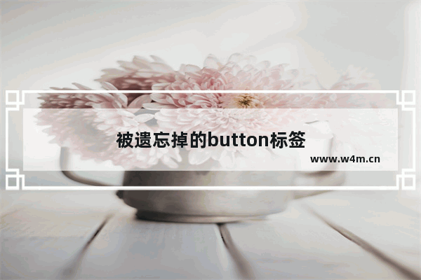 被遗忘掉的button标签