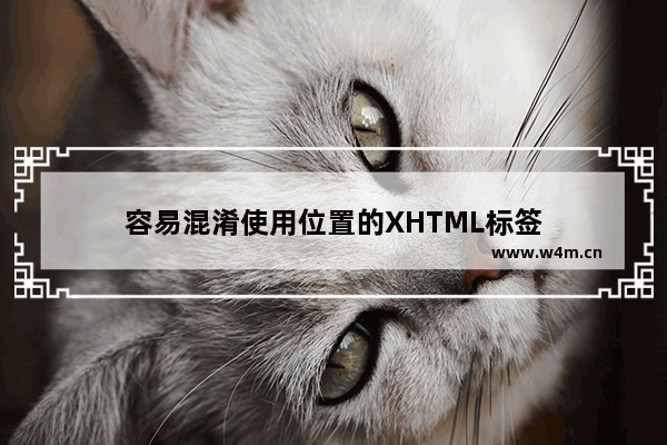 容易混淆使用位置的XHTML标签