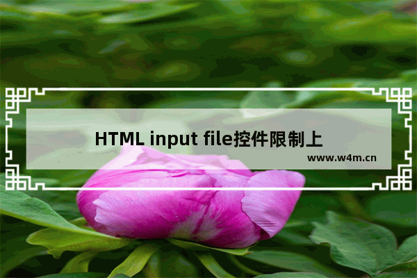 HTML input file控件限制上传文件类型_动力节点Java学院整理