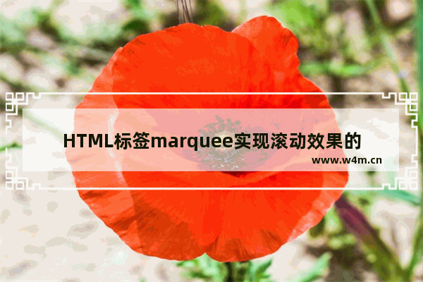 HTML标签marquee实现滚动效果的简单方法(必看)