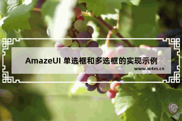 AmazeUI 单选框和多选框的实现示例