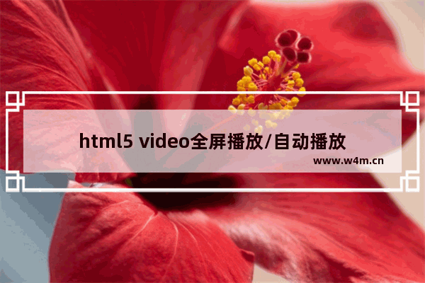 html5 video全屏播放/自动播放的实现示例