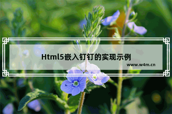 Html5嵌入钉钉的实现示例