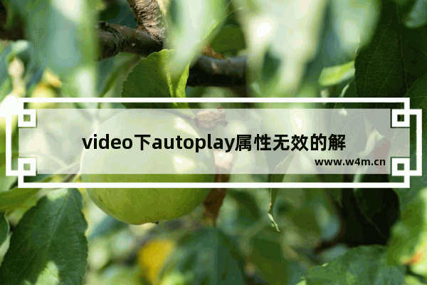 video下autoplay属性无效的解决方法(添加muted属性)