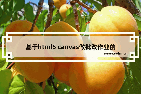 基于html5 canvas做批改作业的小插件