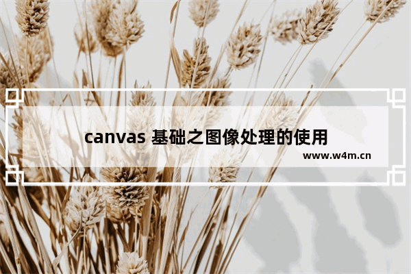 canvas 基础之图像处理的使用