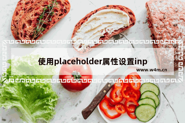 使用placeholder属性设置input文本框的提示信息