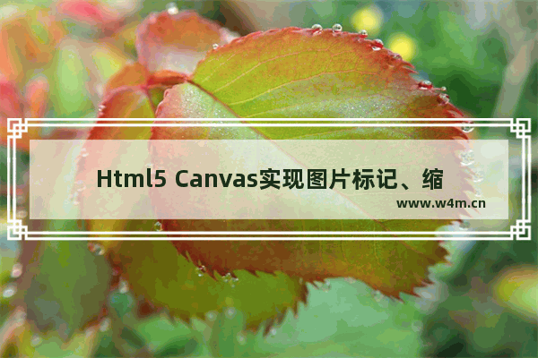 Html5 Canvas实现图片标记、缩放、移动和保存历史状态功能  附转换公式