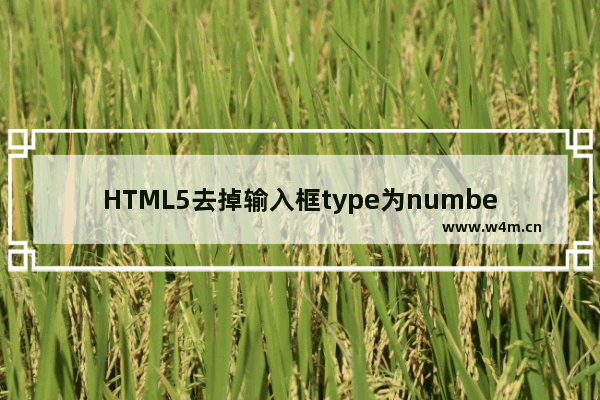 HTML5去掉输入框type为number时的上下箭头的实现方法