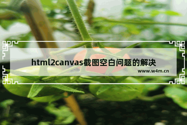 html2canvas截图空白问题的解决