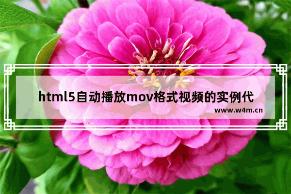 html5自动播放mov格式视频的实例代码