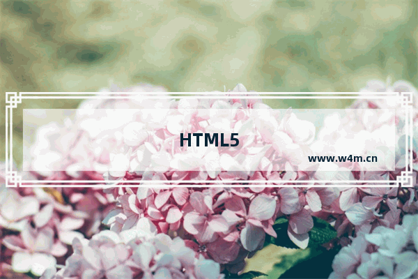 HTML5