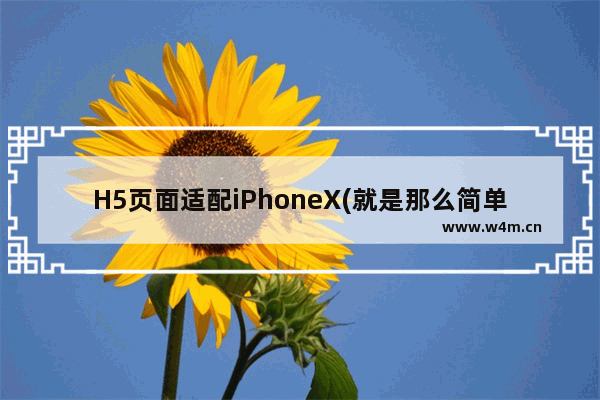 H5页面适配iPhoneX(就是那么简单)