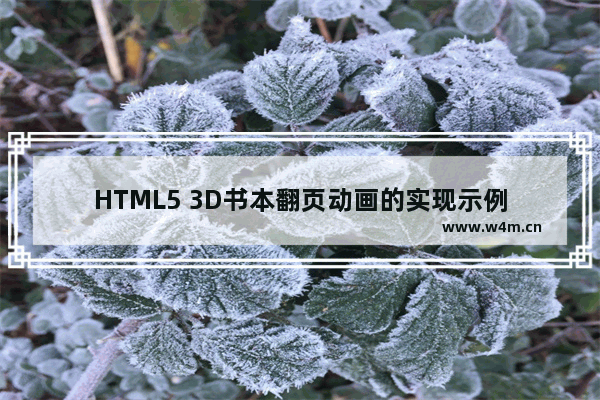 HTML5 3D书本翻页动画的实现示例