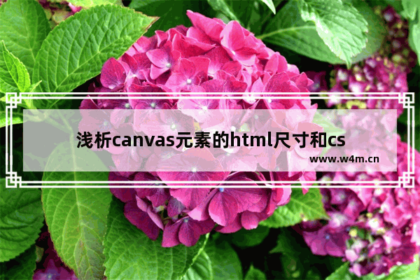 浅析canvas元素的html尺寸和css尺寸对元素视觉的影响