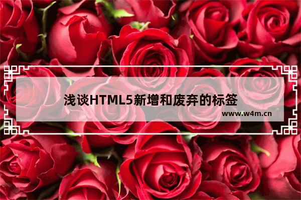 浅谈HTML5新增和废弃的标签