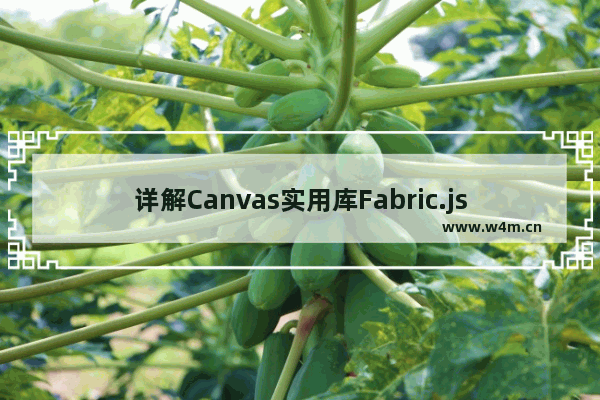 详解Canvas实用库Fabric.js使用手册