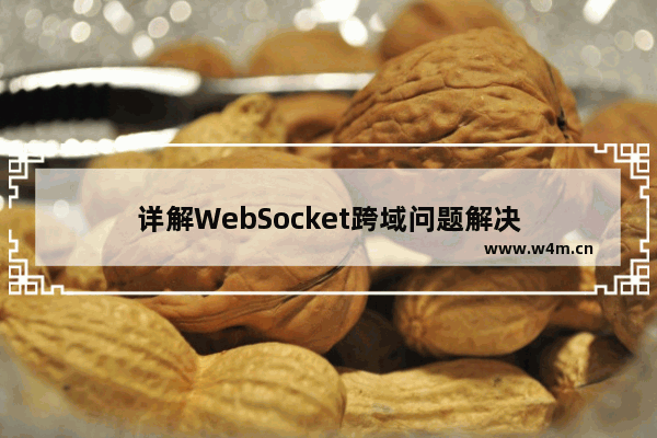 详解WebSocket跨域问题解决