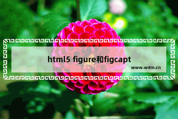 html5 figure和figcaption的使用方法