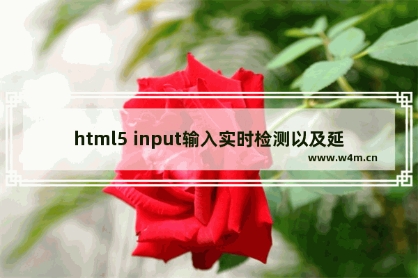 html5 input输入实时检测以及延时优化