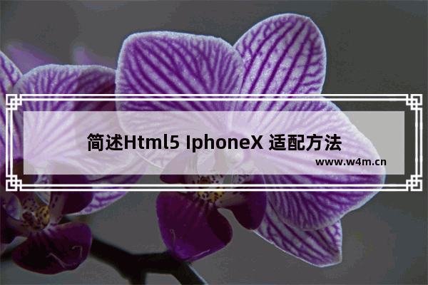 简述Html5 IphoneX 适配方法