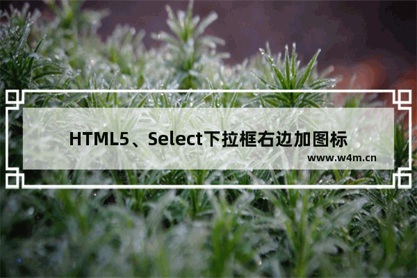 HTML5、Select下拉框右边加图标的实现代码(增进用户体验)