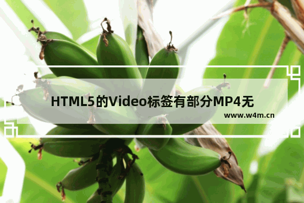 HTML5的Video标签有部分MP4无法播放的问题解析 多图