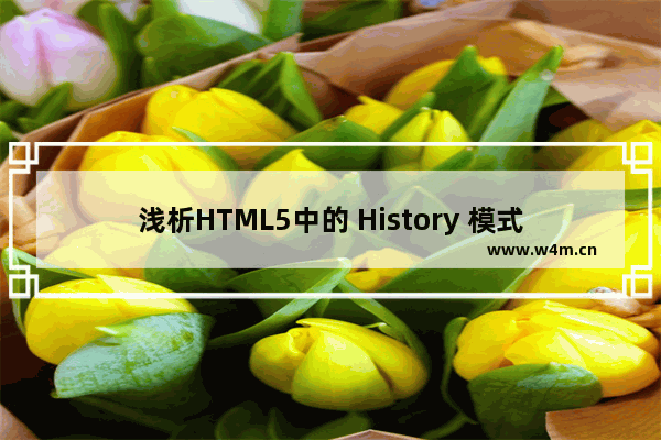 浅析HTML5中的 History 模式