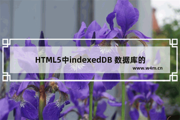 HTML5中indexedDB 数据库的使用实例