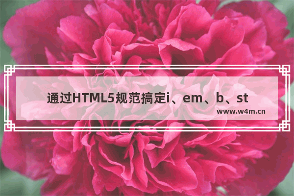 通过HTML5规范搞定i、em、b、strong元素的区别