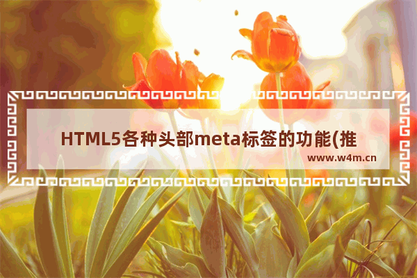 HTML5各种头部meta标签的功能(推荐)