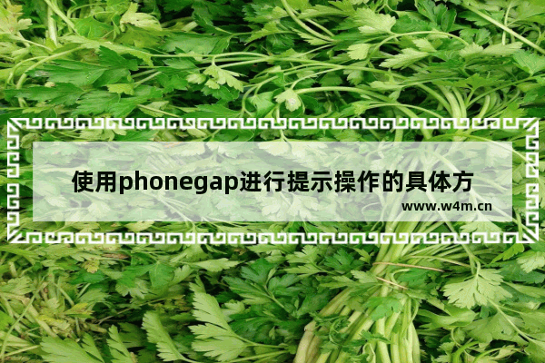 使用phonegap进行提示操作的具体方法