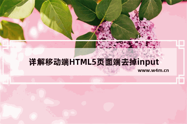 详解移动端HTML5页面端去掉input输入框的白色背景和边框 兼容Android和ios