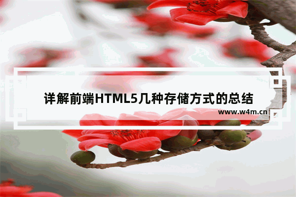 详解前端HTML5几种存储方式的总结