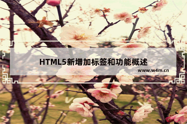 HTML5新增加标签和功能概述