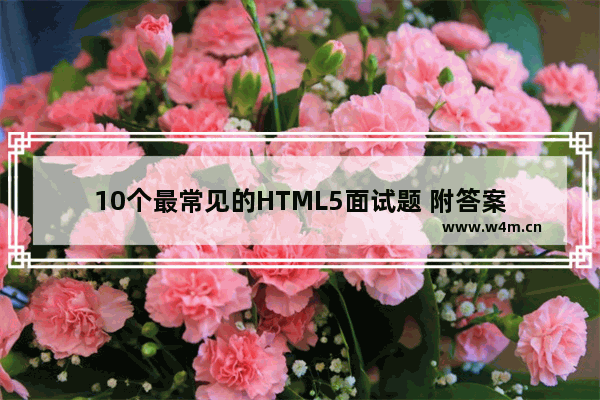 10个最常见的HTML5面试题 附答案