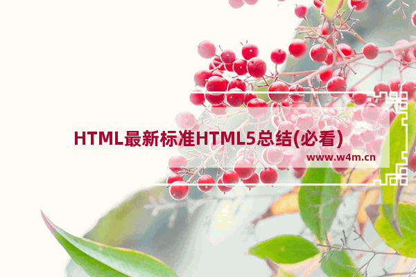 HTML最新标准HTML5总结(必看)