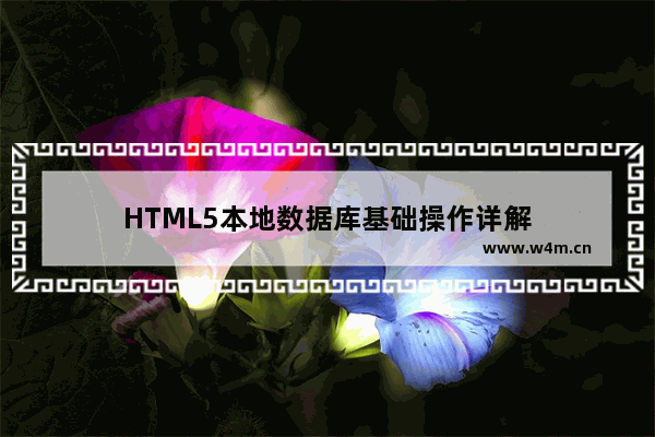 HTML5本地数据库基础操作详解