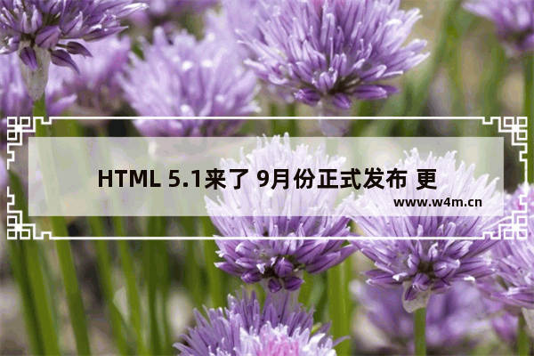 HTML 5.1来了 9月份正式发布 更新内容预览