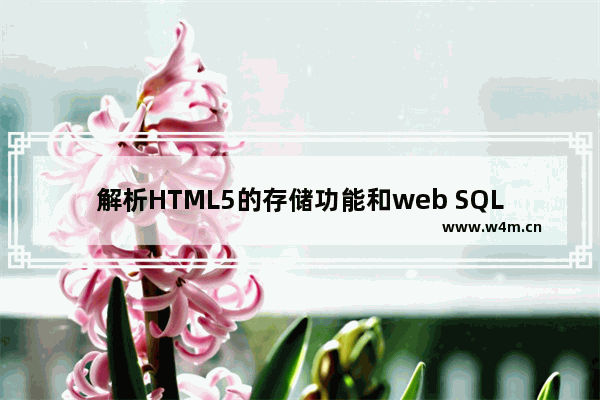 解析HTML5的存储功能和web SQL的相关操作方法