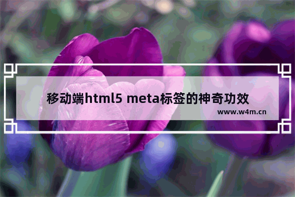 移动端html5 meta标签的神奇功效